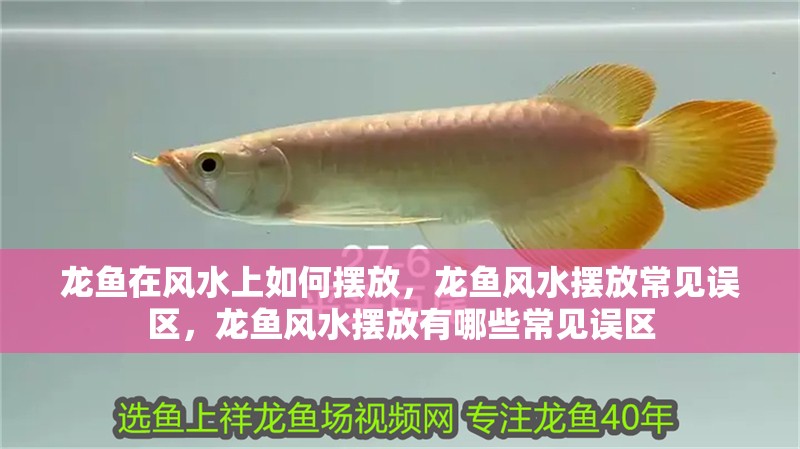 龍魚在風(fēng)水上如何擺放，龍魚風(fēng)水?dāng)[放常見誤區(qū)，龍魚風(fēng)水?dāng)[放有哪些常見誤區(qū)