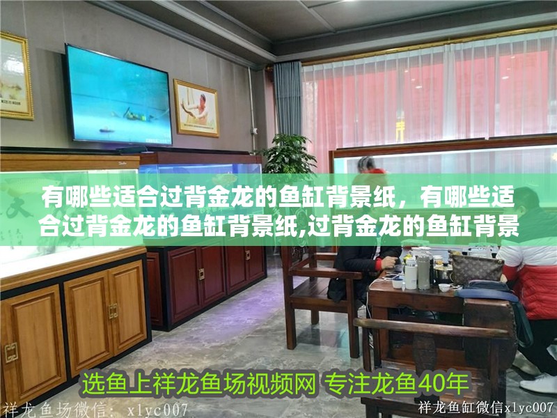 有哪些適合過背金龍的魚缸背景紙，有哪些適合過背金龍的魚缸背景紙,過背金龍的魚缸背景紙