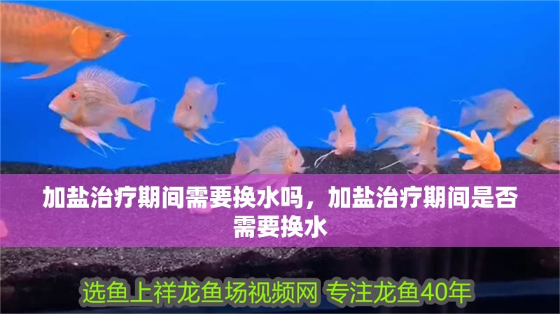 加鹽治療期間需要換水嗎，加鹽治療期間是否需要換水