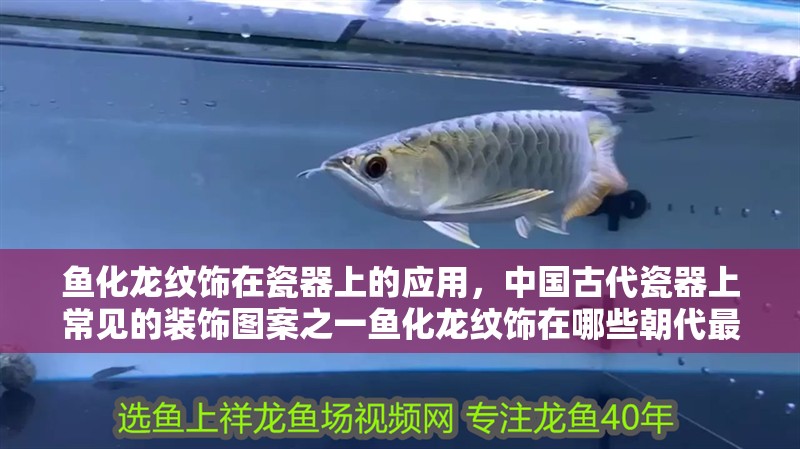 魚化龍紋飾在瓷器上的應用，中國古代瓷器上常見的裝飾圖案之一魚化龍紋飾在哪些朝代最盛行