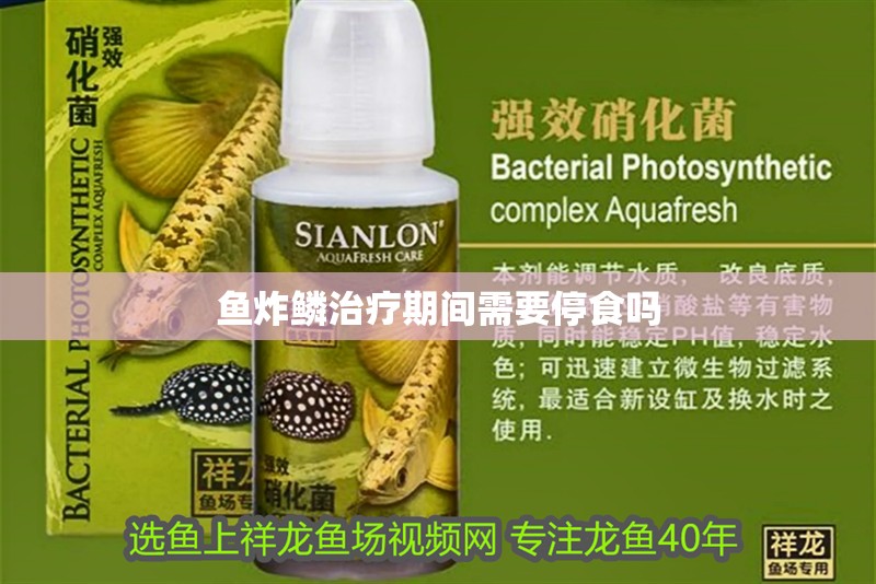 魚炸鱗治療期間需要停食嗎