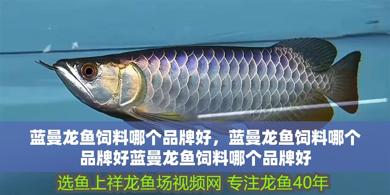 藍曼龍魚飼料哪個品牌好，藍曼龍魚飼料哪個品牌好藍曼龍魚飼料哪個品牌好