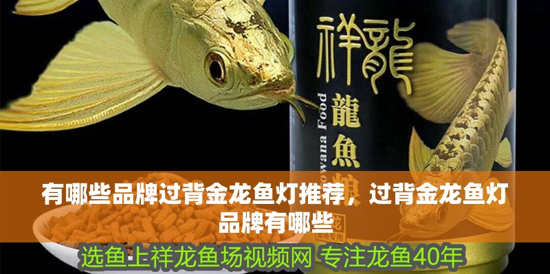 有哪些品牌過背金龍魚燈推薦，過背金龍魚燈品牌有哪些