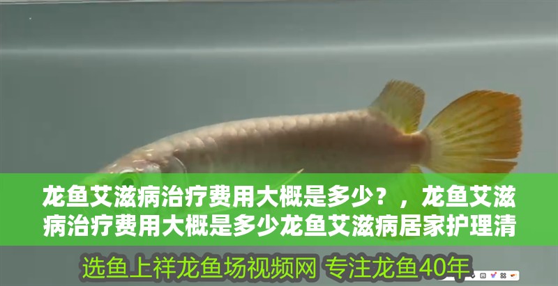 龍魚艾滋病治療費用大概是多少？，龍魚艾滋病治療費用大概是多少龍魚艾滋病居家護理清單
