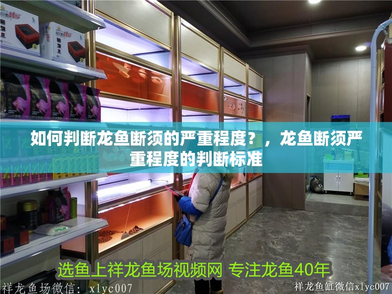 如何判斷龍魚斷須的嚴重程度？，龍魚斷須嚴重程度的判斷標準
