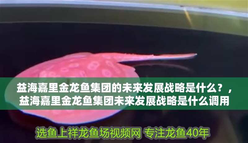 益海嘉里金龍魚(yú)集團(tuán)的未來(lái)發(fā)展戰(zhàn)略是什么？，益海嘉里金龍魚(yú)集團(tuán)未來(lái)發(fā)展戰(zhàn)略是什么調(diào)用全球搜檢索19篇資料