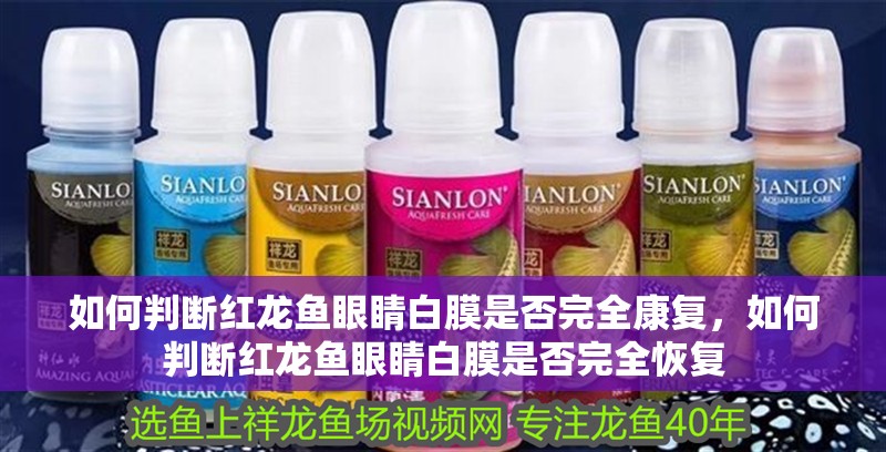 如何判斷紅龍魚眼睛白膜是否完全康復，如何判斷紅龍魚眼睛白膜是否完全恢復