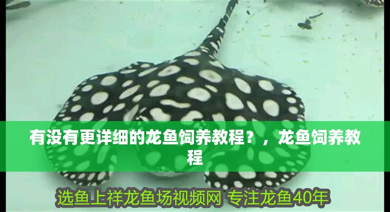 有沒有更詳細的龍魚飼養教程？，龍魚飼養教程