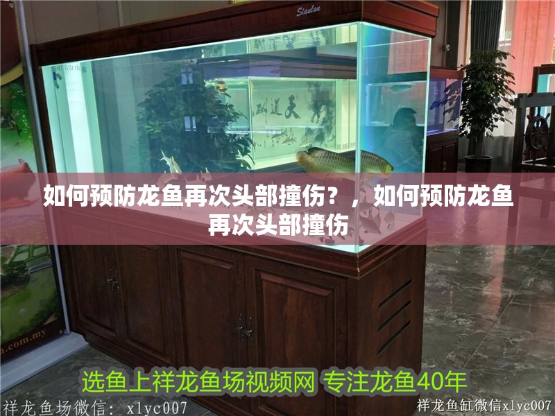 如何預防龍魚再次頭部撞傷？，如何預防龍魚再次頭部撞傷