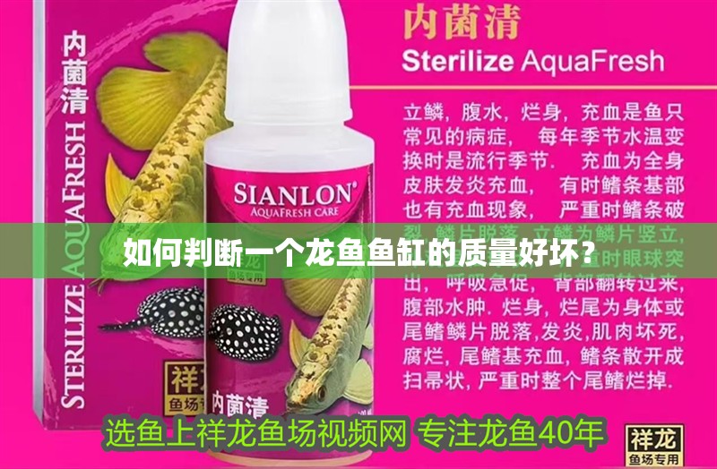 如何判斷一個龍魚魚缸的質量好壞？