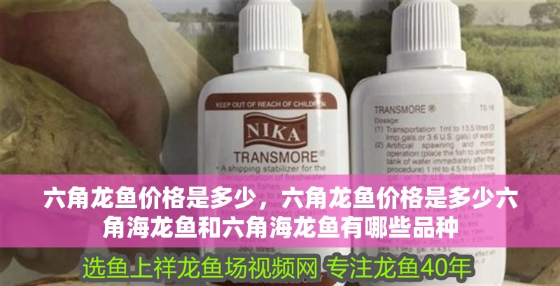 六角龍魚價格是多少，六角龍魚價格是多少六角海龍魚和六角海龍魚有哪些品種
