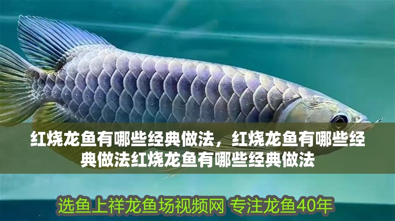 紅燒龍魚有哪些經(jīng)典做法，紅燒龍魚有哪些經(jīng)典做法紅燒龍魚有哪些經(jīng)典做法