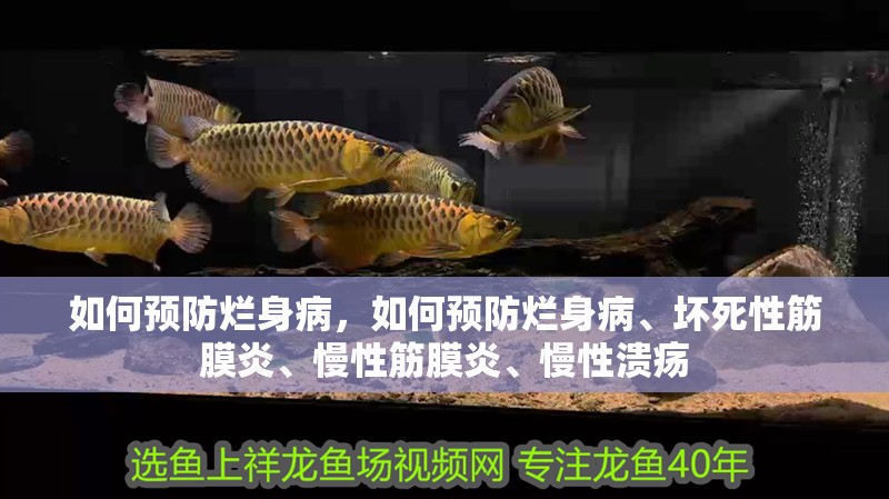 如何預防爛身病，如何預防爛身病、壞死性筋膜炎、慢性筋膜炎、慢性潰瘍