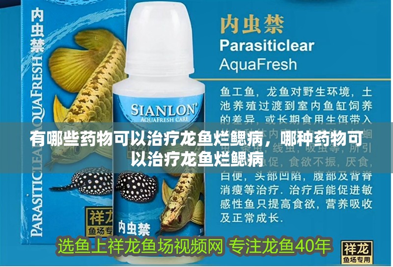 有哪些藥物可以治療龍魚爛鰓病，哪種藥物可以治療龍魚爛鰓病