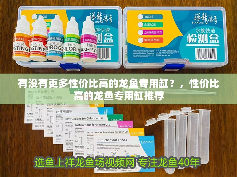 有沒有更多性價比高的龍魚專用缸？，性價比高的龍魚專用缸推薦