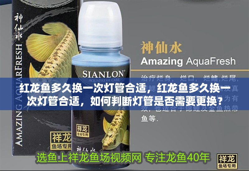 紅龍魚多久換一次燈管合適，紅龍魚多久換一次燈管合適，如何判斷燈管是否需要更換？