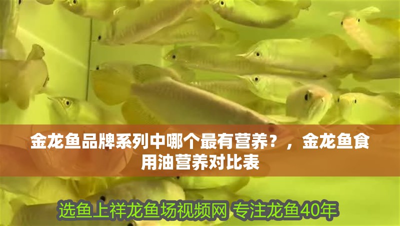 金龍魚(yú)品牌系列中哪個(gè)最有營(yíng)養(yǎng)？，金龍魚(yú)食用油營(yíng)養(yǎng)對(duì)比表