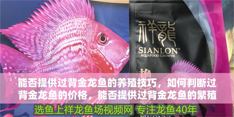 能否提供過背金龍魚的養殖技巧，如何判斷過背金龍魚的價格，能否提供過背金龍魚的繁殖技巧