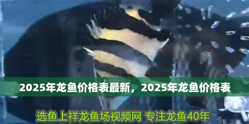 2025年龍魚價格表最新，2025年龍魚價格表