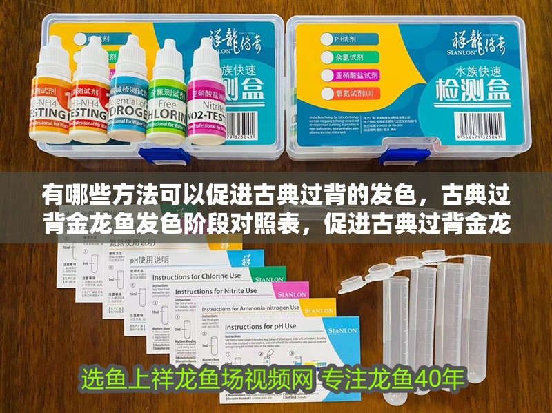 有哪些方法可以促進(jìn)古典過背的發(fā)色，古典過背金龍魚發(fā)色階段對照表，促進(jìn)古典過背金龍魚發(fā)色