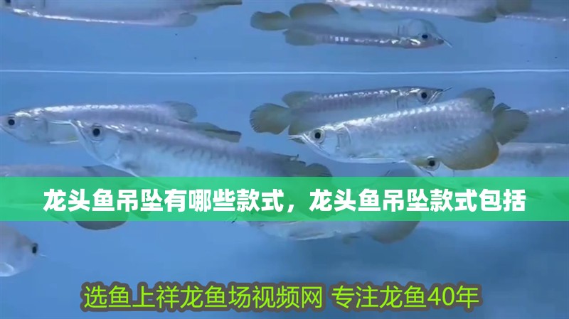 龍頭魚吊墜有哪些款式，龍頭魚吊墜款式包括