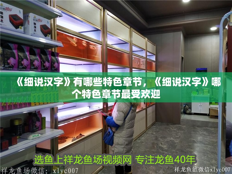 《細說漢字》有哪些特色章節，《細說漢字》哪個特色章節最受歡迎