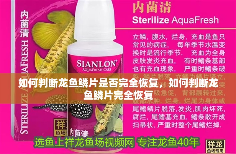 如何判斷龍魚鱗片是否完全恢復，如何判斷龍魚鱗片完全恢復