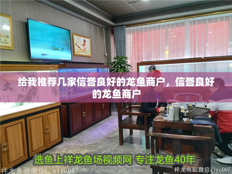給我推薦幾家信譽良好的龍魚商戶，信譽良好的龍魚商戶