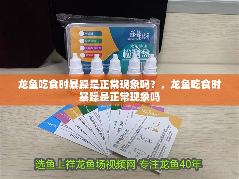 龍魚吃食時(shí)暴躁是正常現(xiàn)象嗎？，龍魚吃食時(shí)暴躁是正常現(xiàn)象嗎