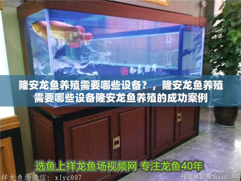 隆安龍魚(yú)養(yǎng)殖需要哪些設(shè)備？，隆安龍魚(yú)養(yǎng)殖需要哪些設(shè)備隆安龍魚(yú)養(yǎng)殖的成功案例