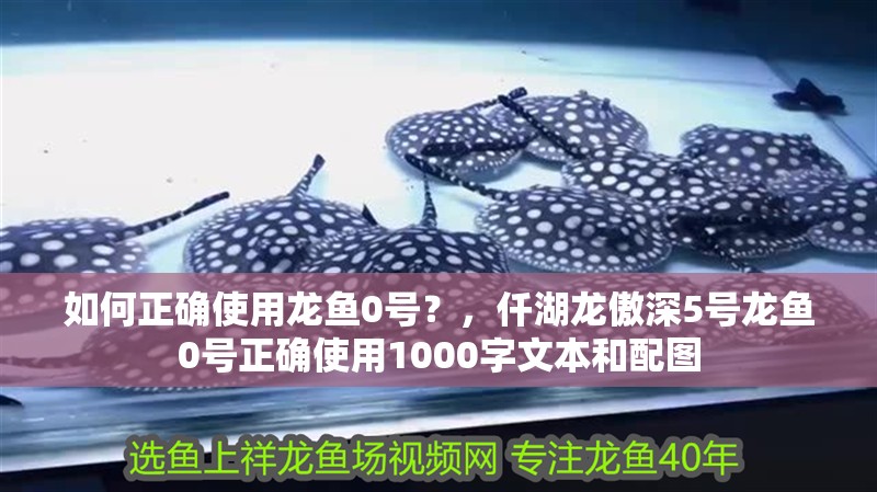 如何正確使用龍魚0號？，仟湖龍傲深5號龍魚0號正確使用1000字文本和配圖