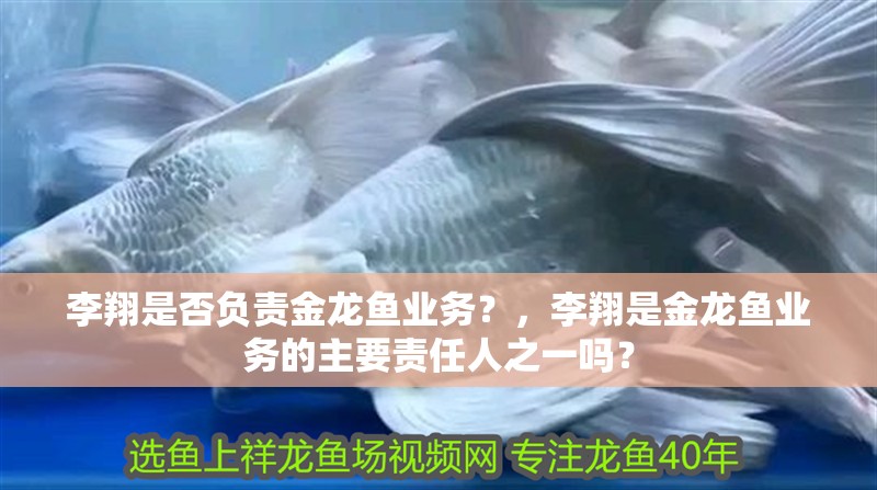 李翔是否負責金龍魚業務？，李翔是金龍魚業務的主要責任人之一嗎？