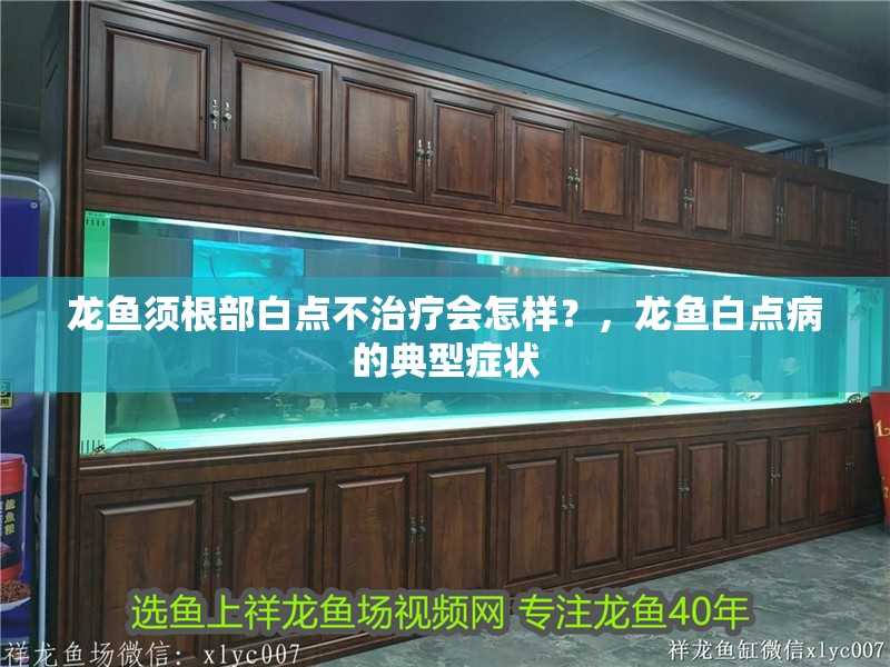 龍魚須根部白點不治療會怎樣？，龍魚白點病的典型癥狀