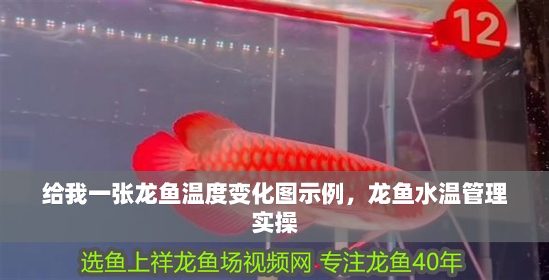 給我一張龍魚溫度變化圖示例，龍魚水溫管理實操