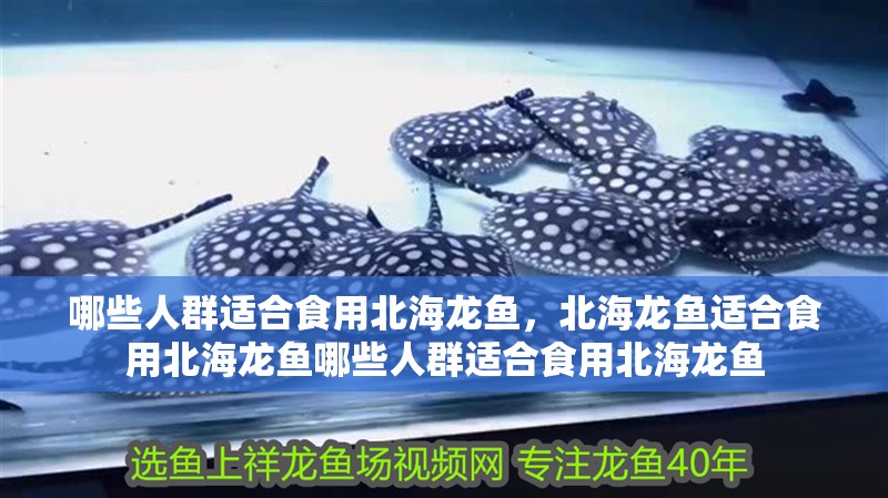 哪些人群適合食用北海龍魚，北海龍魚適合食用北海龍魚哪些人群適合食用北海龍魚