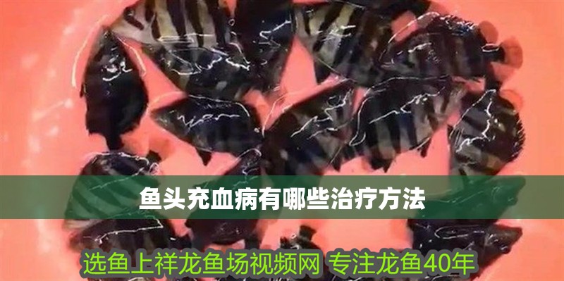 魚頭充血病有哪些治療方法