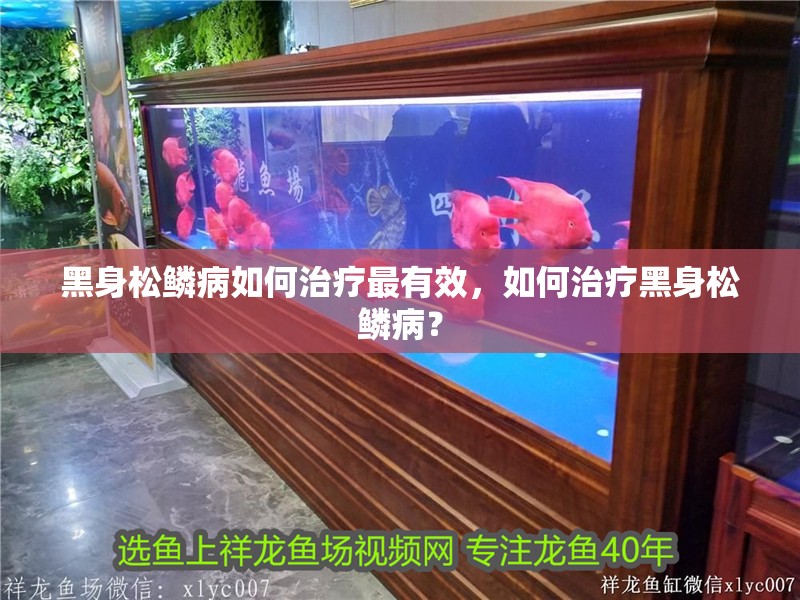 黑身松鱗病如何治療最有效,如何治療黑身松鱗病?