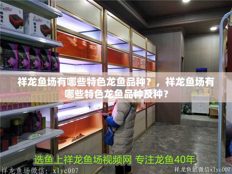 祥龍魚場有哪些特色龍魚品種？，祥龍魚場有哪些特色龍魚品種及種？