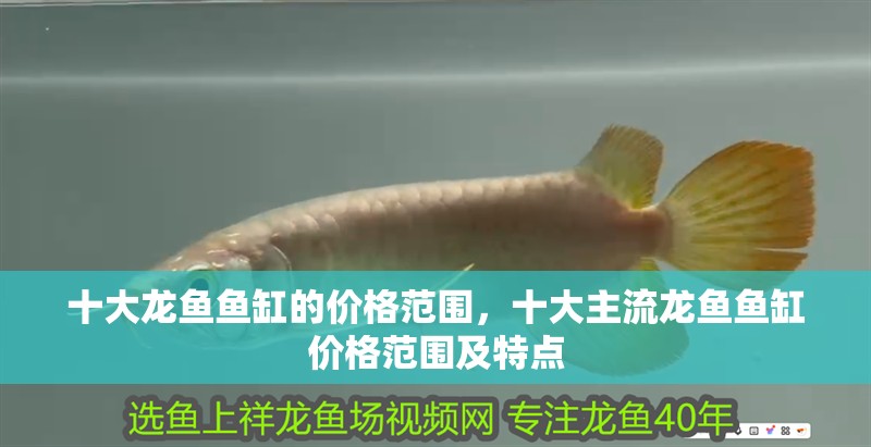 十大龍魚魚缸的價格范圍,十大主流龍魚魚缸價格范圍及特點