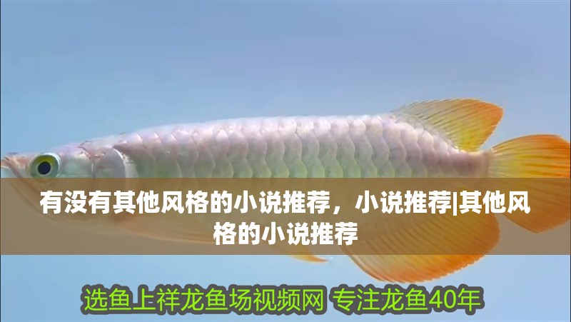 有沒有其他風格的小說推薦，小說推薦|其他風格的小說推薦