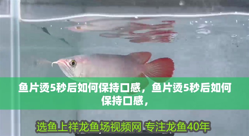 魚(yú)片燙5秒后如何保持口感，魚(yú)片燙5秒后如何保持口感，