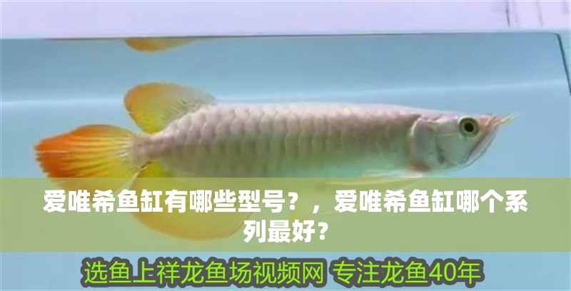 愛唯希魚缸有哪些型號？，愛唯希魚缸哪個系列最好？