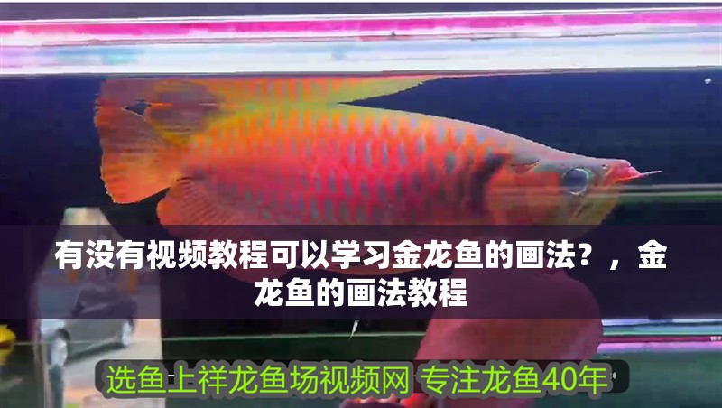 有沒有視頻教程可以學習金龍魚的畫法？，金龍魚的畫法教程