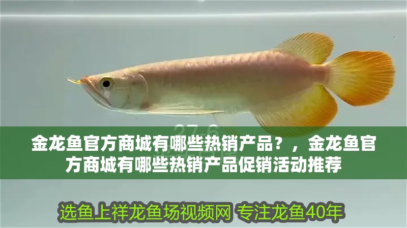 金龍魚官方商城有哪些熱銷產品？，金龍魚官方商城有哪些熱銷產品促銷活動推薦