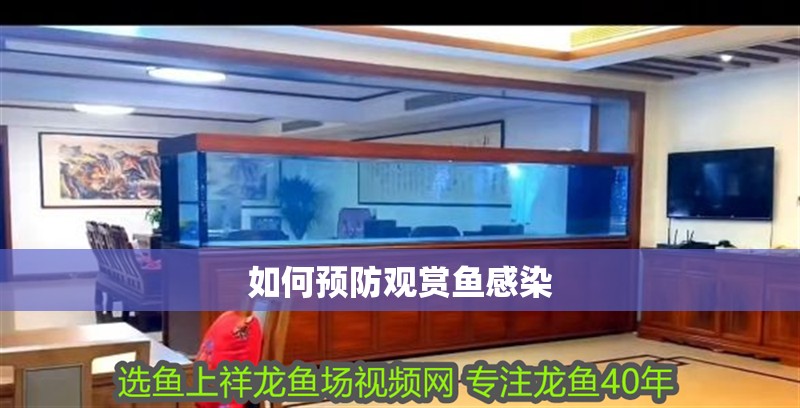 如何預(yù)防觀賞魚感染