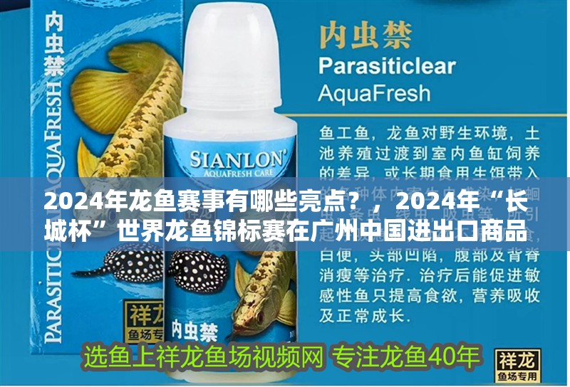 2024年龍魚賽事有哪些亮點？，2024年“長城杯”世界龍魚錦標賽在廣州中國進出口商品交易會展館舉行