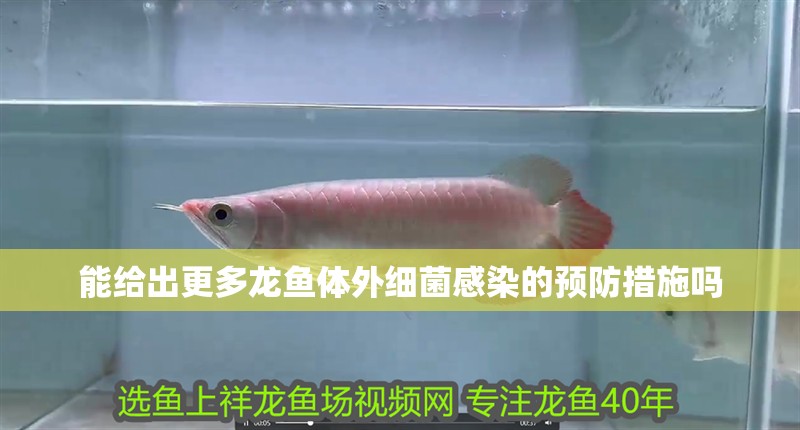 能給出更多龍魚體外細菌感染的預防措施嗎