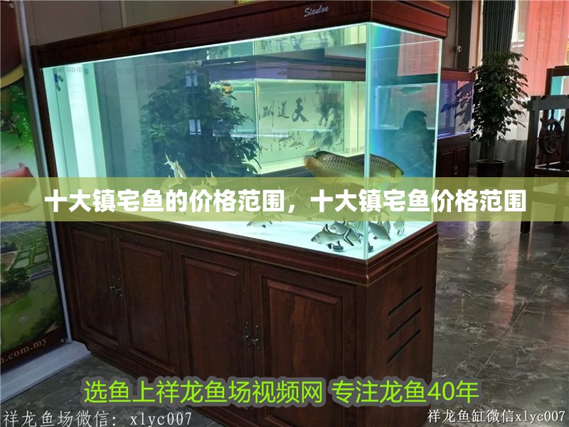 十大鎮宅魚的價格范圍，十大鎮宅魚價格范圍