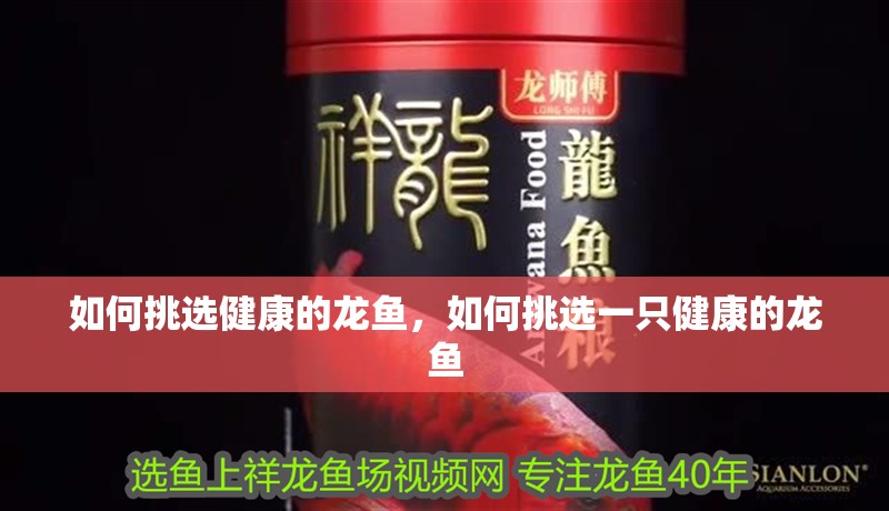 如何挑選健康的龍魚，如何挑選一只健康的龍魚