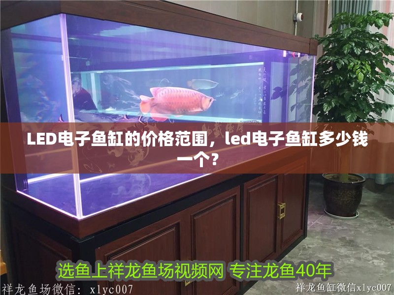 LED電子魚缸的價(jià)格范圍，led電子魚缸多少錢一個(gè)？